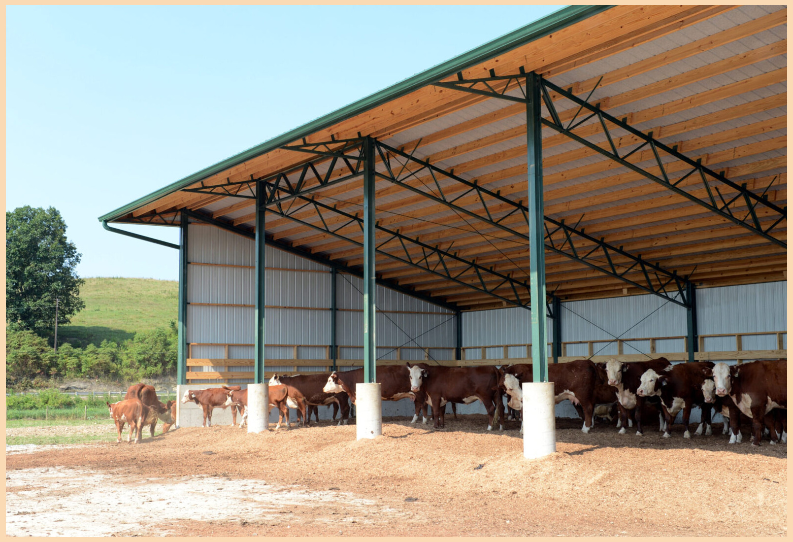 Agricultural Facilities